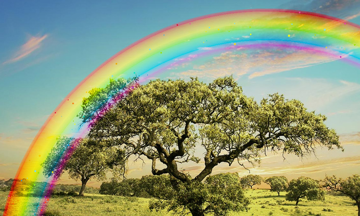 Анимация радуги на фоне дерева